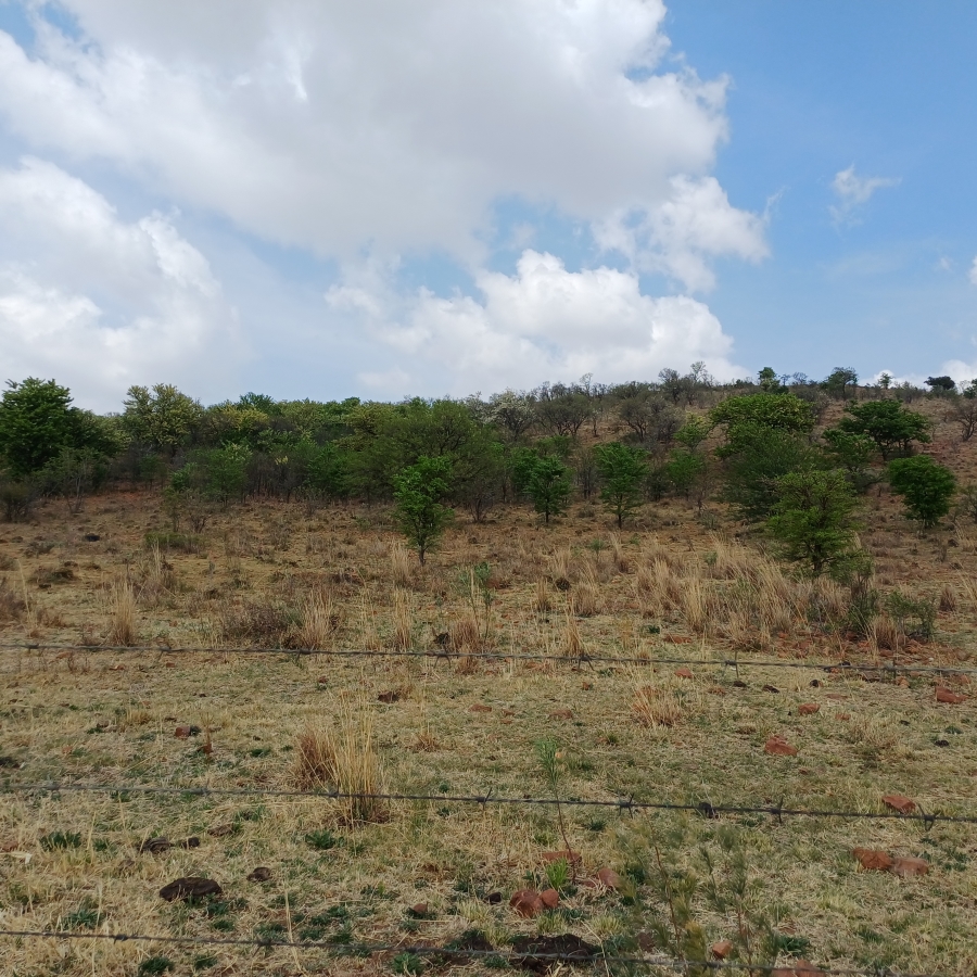 0 Bedroom Property for Sale in Lindequesdrif North West